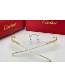 Cartier Panthere Eye Frames - 1