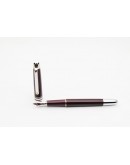 Mont Blanc Fountain Pen - 5